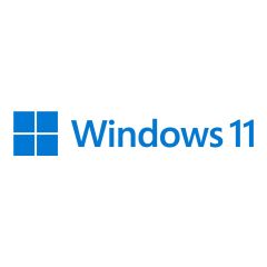 Microsoft Windows 11 Professional